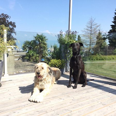Lakelodge Romanshorn Exterior photo